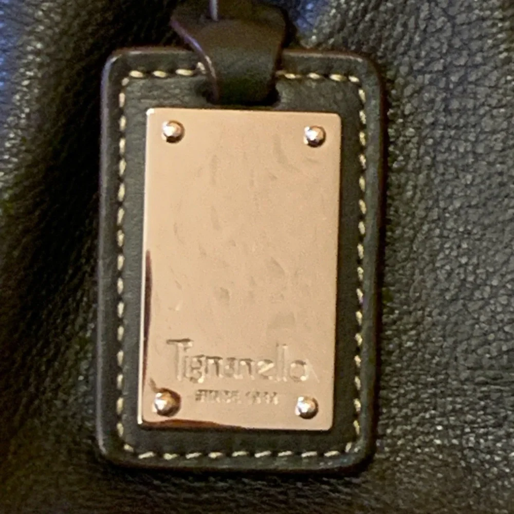 Tignanello Shoulder Bag Black Leather Purse Multi color stripe lining